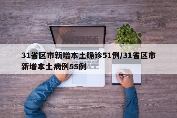 31省区市新增本土确诊51例/31省区市新增本土病例55例