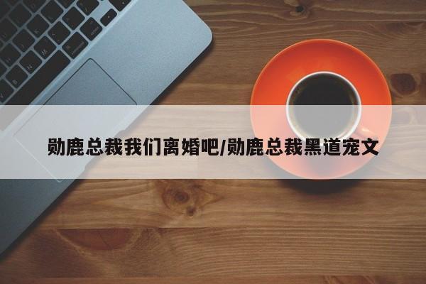 勋鹿总裁我们离婚吧/勋鹿总裁黑道宠文