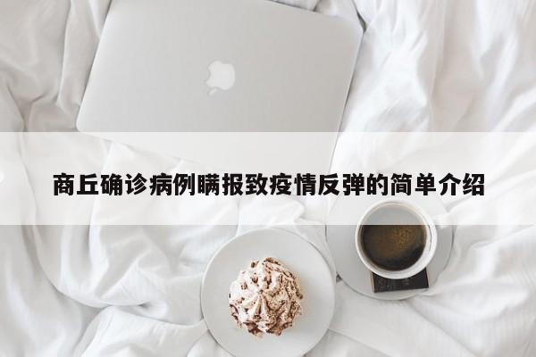 商丘确诊病例瞒报致疫情反弹的简单介绍